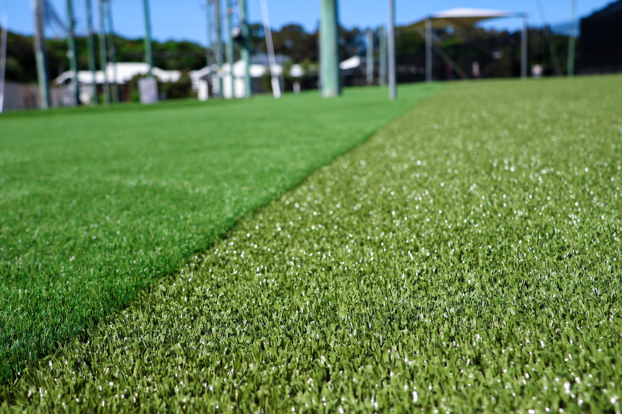 Artificial turf in Brisbane, specifically Scarborough.